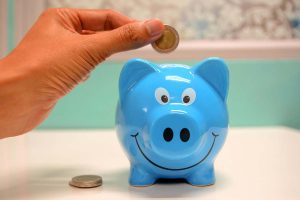 Blue Pig Money Box